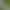 Radfahrenstrends, Beliebtheit des Laufens, Padel-Sport, Fitness-Trends 2026, Radfahren vs. Laufen, Padel für Anfänger, Outdoor-Sportarten, Cardio-Workouts, aktiver Lebensstil, Freizeitsportarten